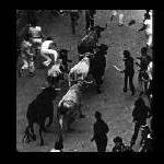 スペイン・牛追い祭り　サン・フェルミン祭